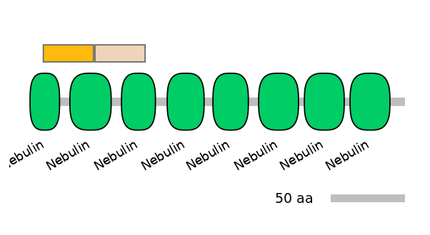 HsaEX0042347-EXC