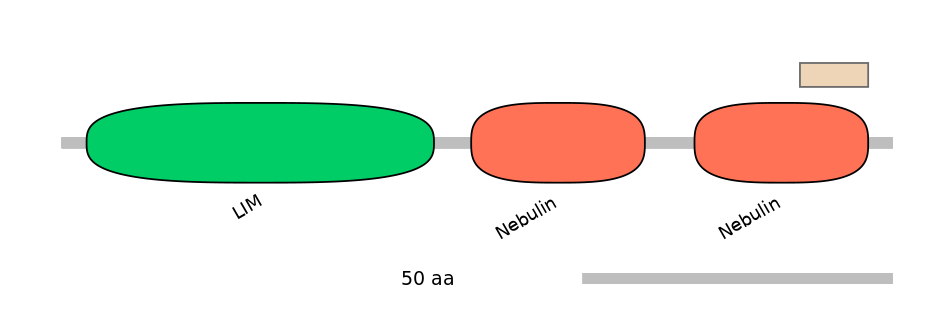 HsaEX0042355-EXC