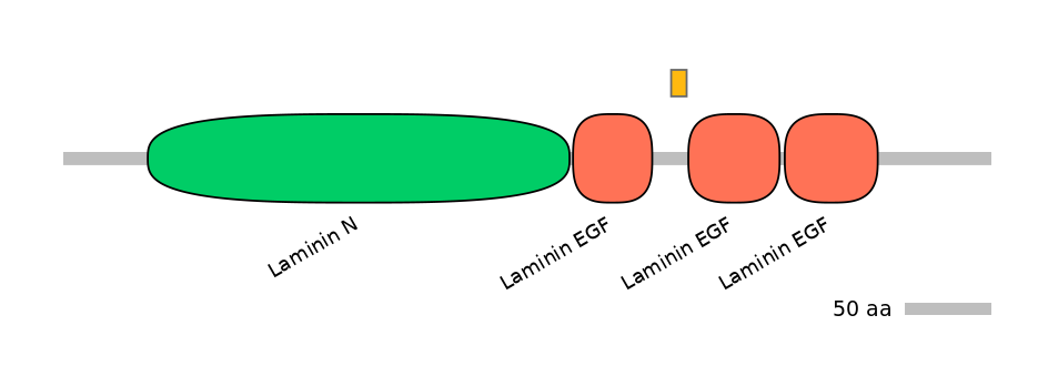 HsaEX0044071-EXC