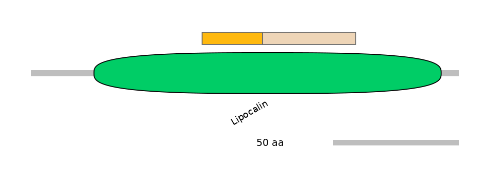 HsaEX0044512-EXC