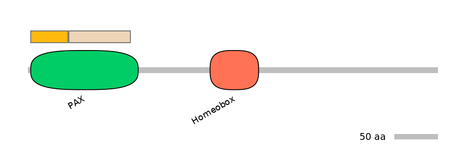 HsaEX0045708-EXC