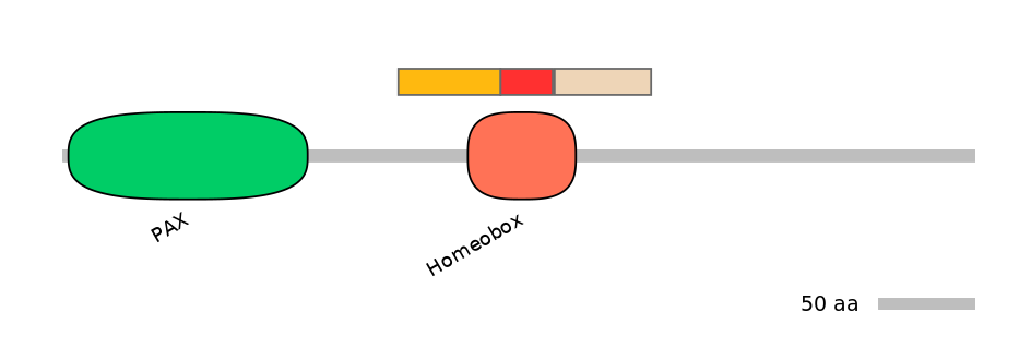 HsaEX0045709-INC