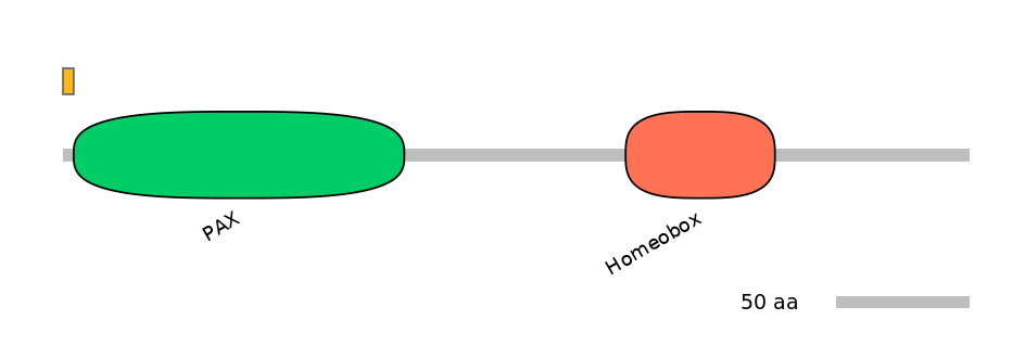 HsaEX0045712-EXC