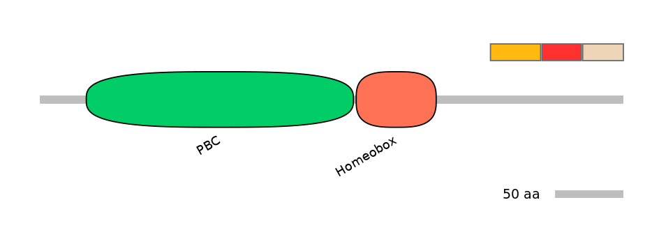HsaEX0045747-INC