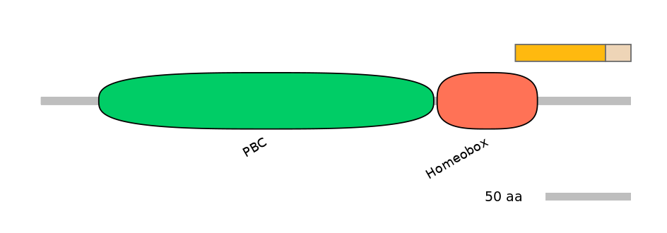 HsaEX0045750-EXC