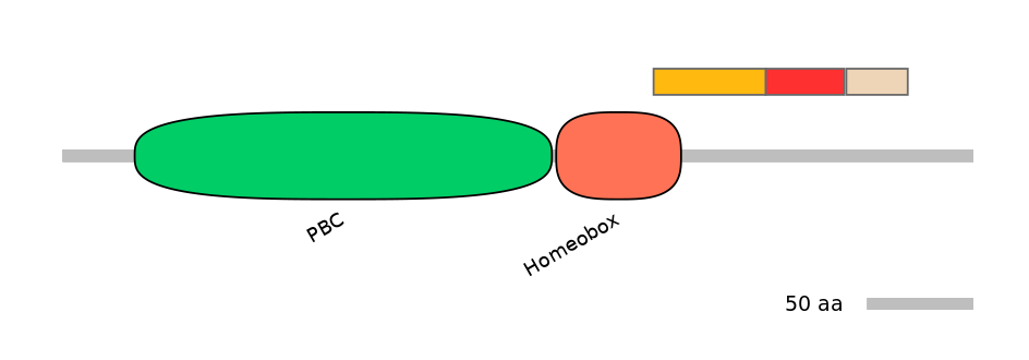 HsaEX0045750-INC