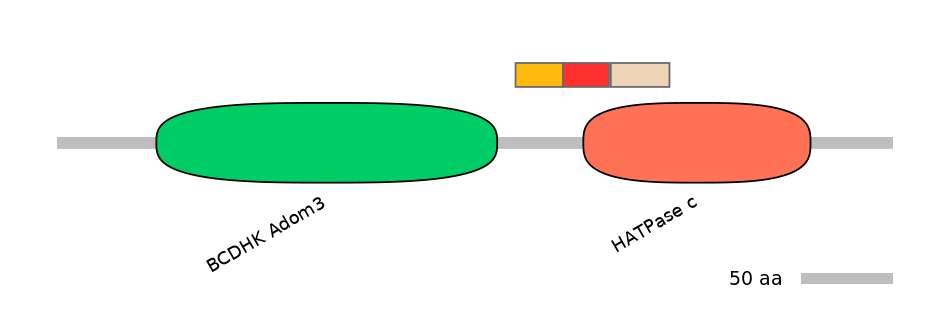 HsaEX0046393-INC