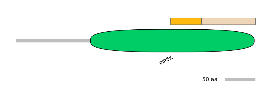 HsaEX0047713-EXC