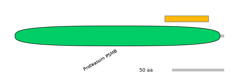HsaEX0050626-EXC