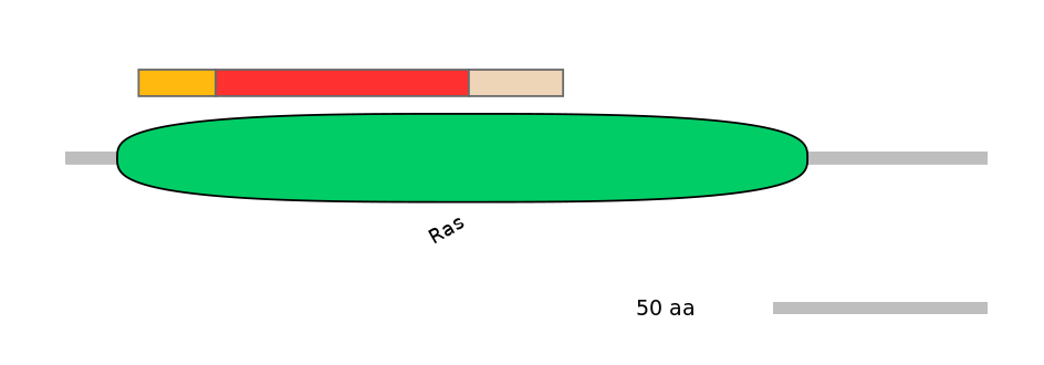 HsaEX0051571-INC