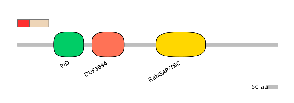 HsaEX0051787-INC