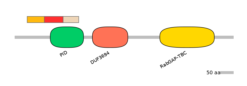 HsaEX0051807-INC