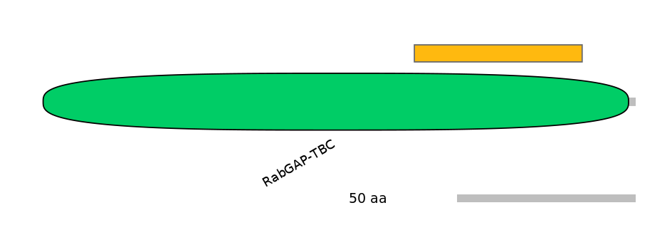 HsaEX0051813-EXC