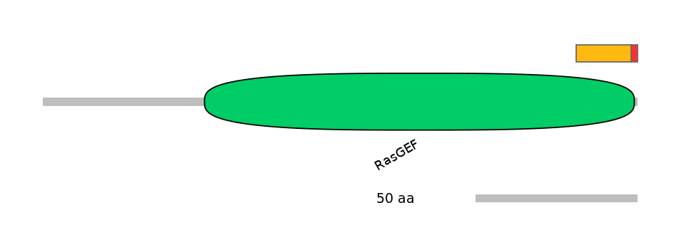 HsaEX0052265-INC