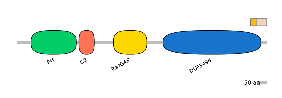 HsaEX0052394-EXC