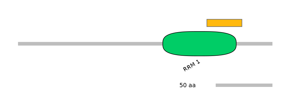 HsaEX0052785-EXC