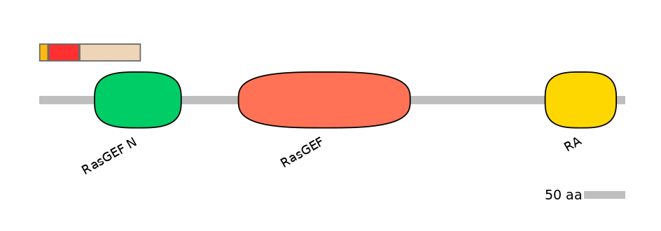 HsaEX0053323-INC