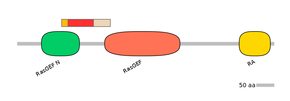 HsaEX0053325-INC