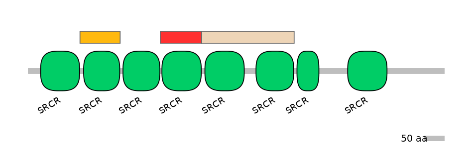 HsaEX0054366-INC