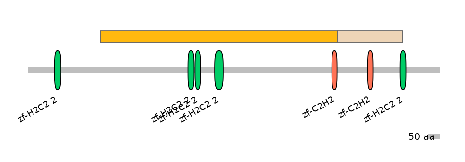HsaEX0055741-EXC