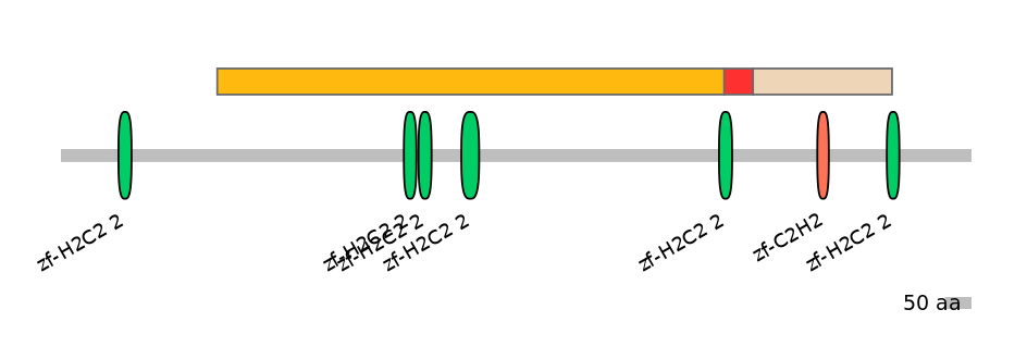 HsaEX0055741-INC