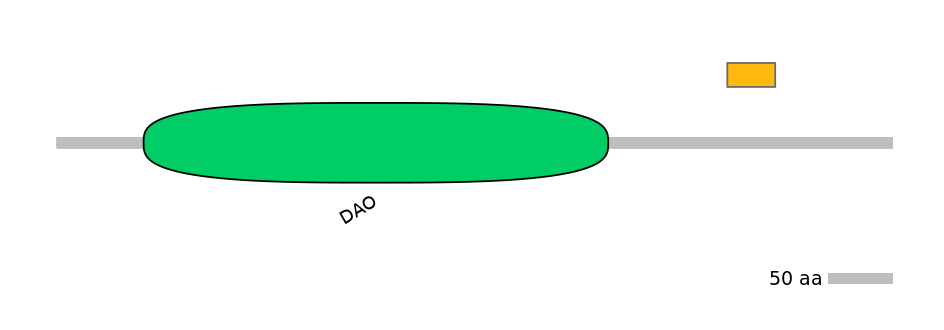 HsaEX0056228-EXC