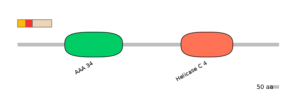 HsaEX0056331-INC
