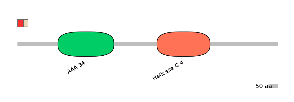 HsaEX0056333-INC