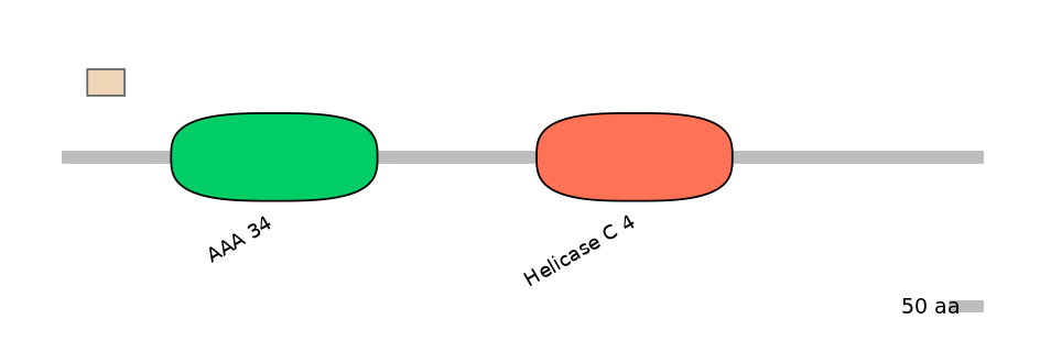 HsaEX0056334-EXC