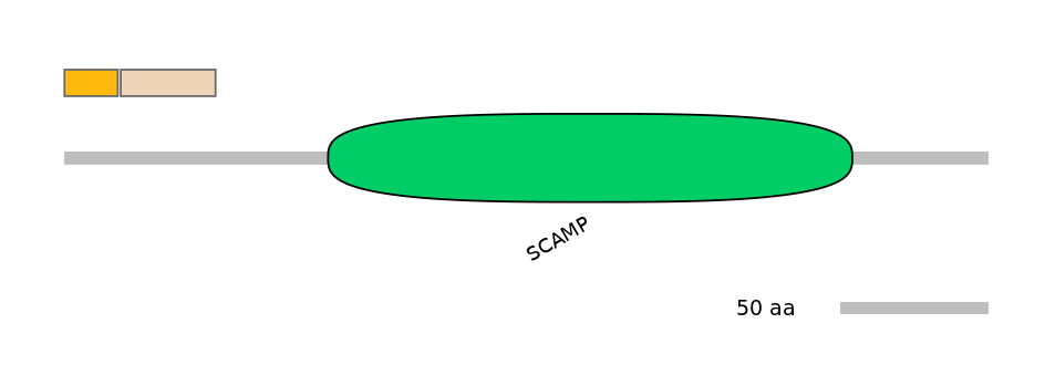 HsaEX0056350-EXC