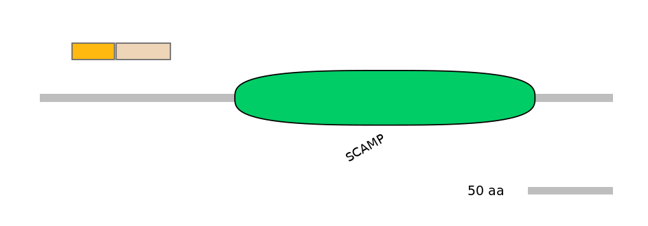 HsaEX0056351-EXC