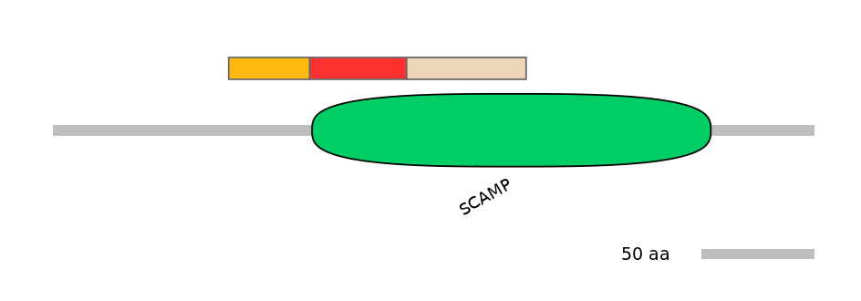 HsaEX0056352-INC