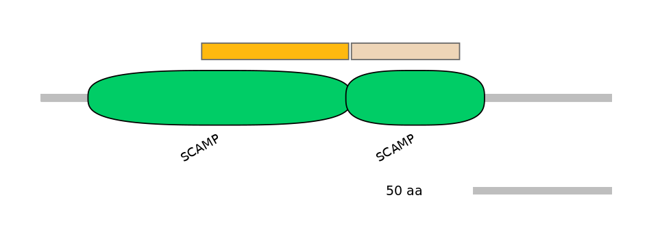HsaEX0056354-EXC