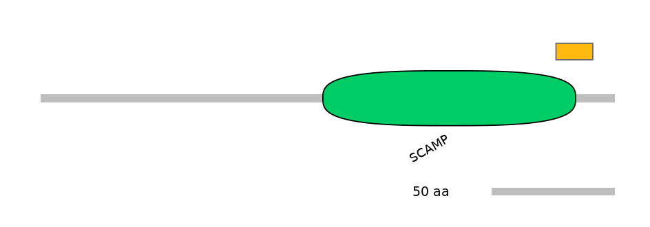 HsaEX0056356-EXC