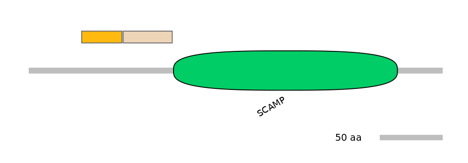 HsaEX0056357-EXC