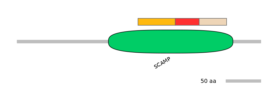 HsaEX0056359-INC