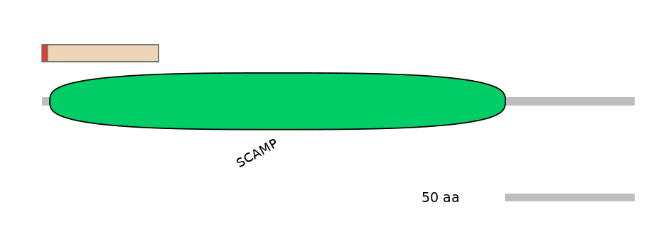 HsaEX0056366-INC