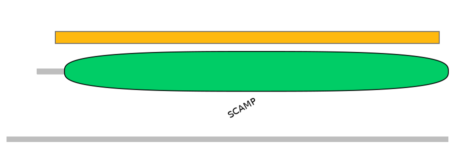 HsaEX0056371-EXC