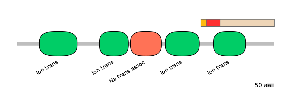 HsaEX0056561-INC