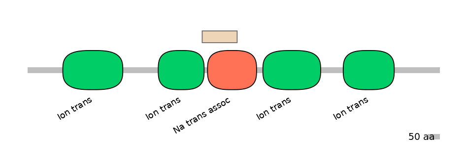 HsaEX0056562-EXC