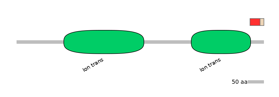 HsaEX0056562-INC
