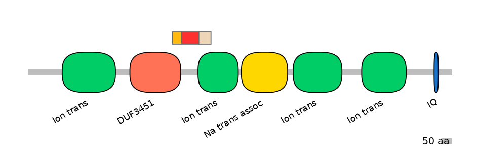HsaEX0056563-INC
