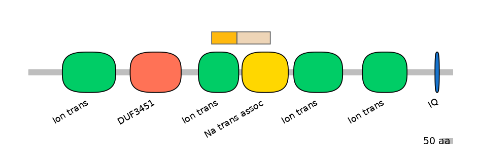 HsaEX0056566-EXC