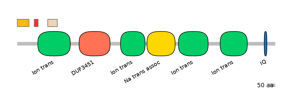 HsaEX0056572-INC