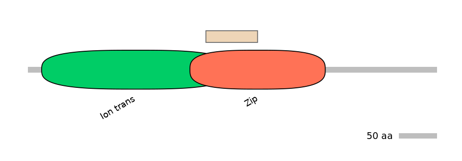 HsaEX0056586-EXC