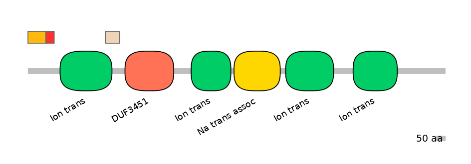HsaEX0056586-INC