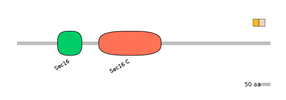 HsaEX0056829-EXC