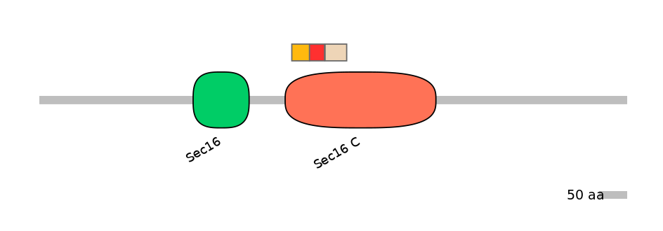 HsaEX0056844-INC