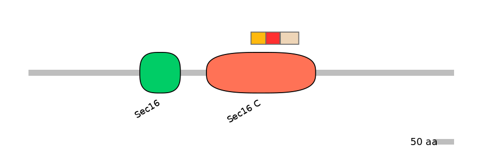 HsaEX0056845-INC