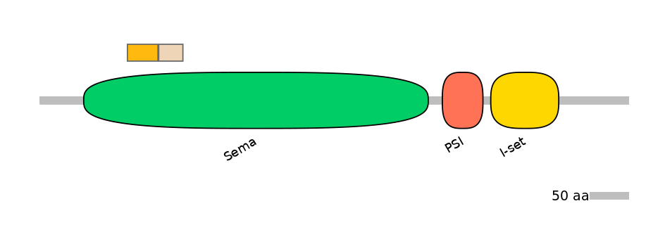 HsaEX0057075-EXC